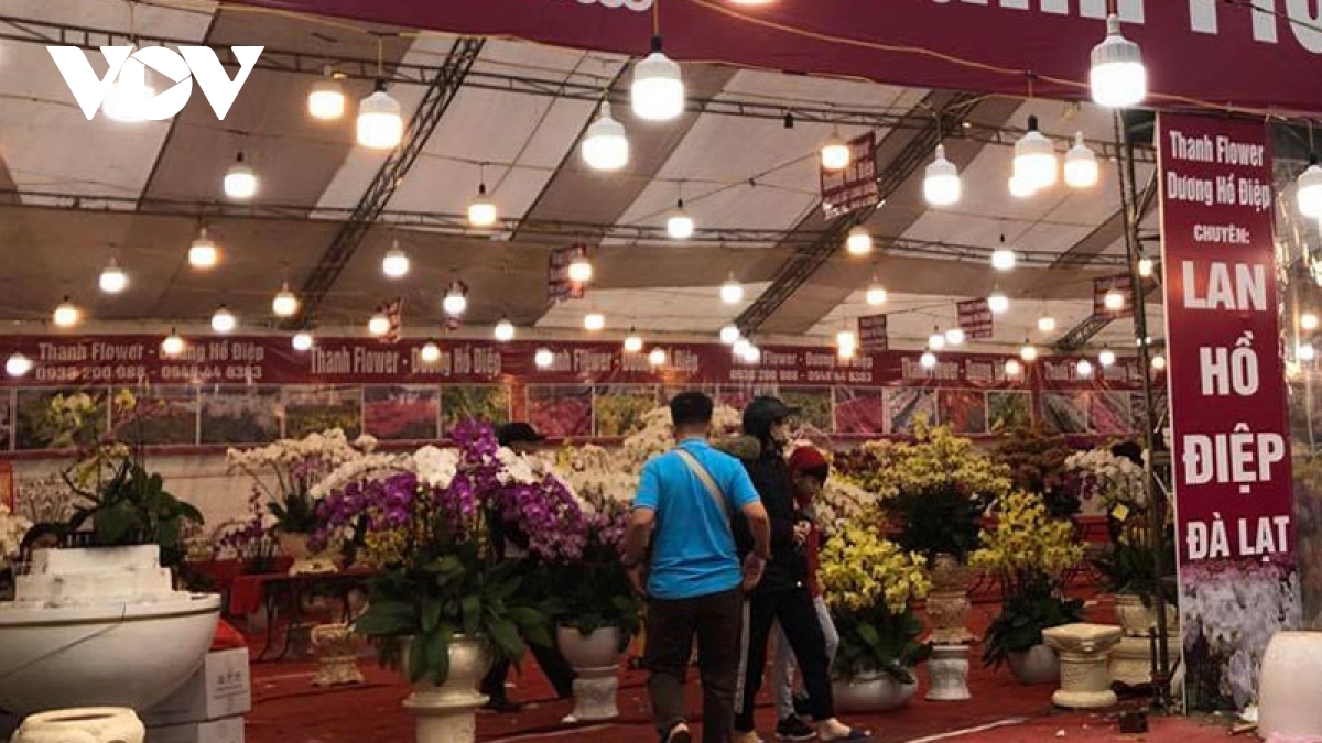 Hanoi poised to host 89 flower markets in build up to Tet